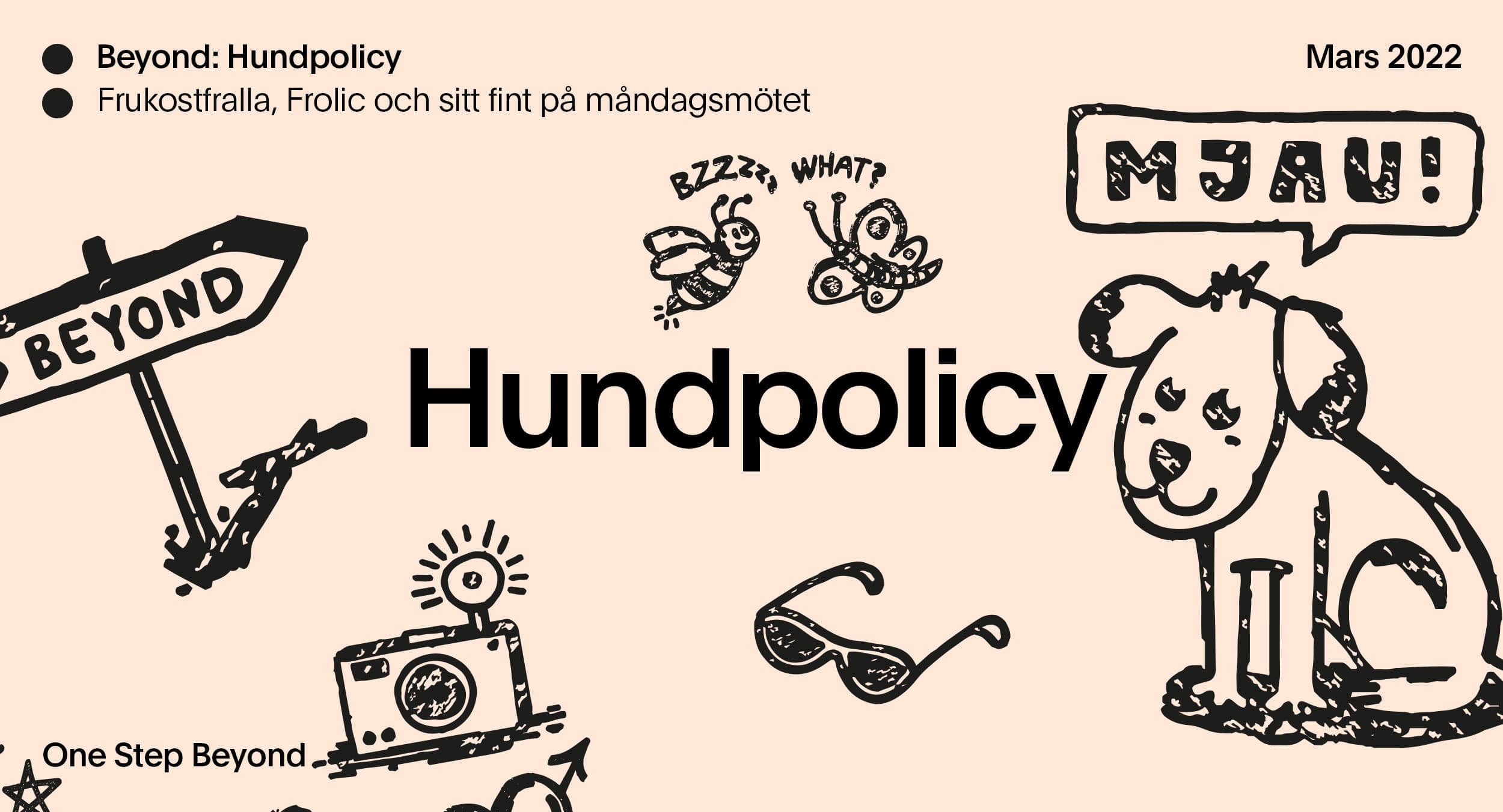 Grafik för Beyonds hundpolicy. Frukostfralla, Frolic och sitt fint på måndagsmötet