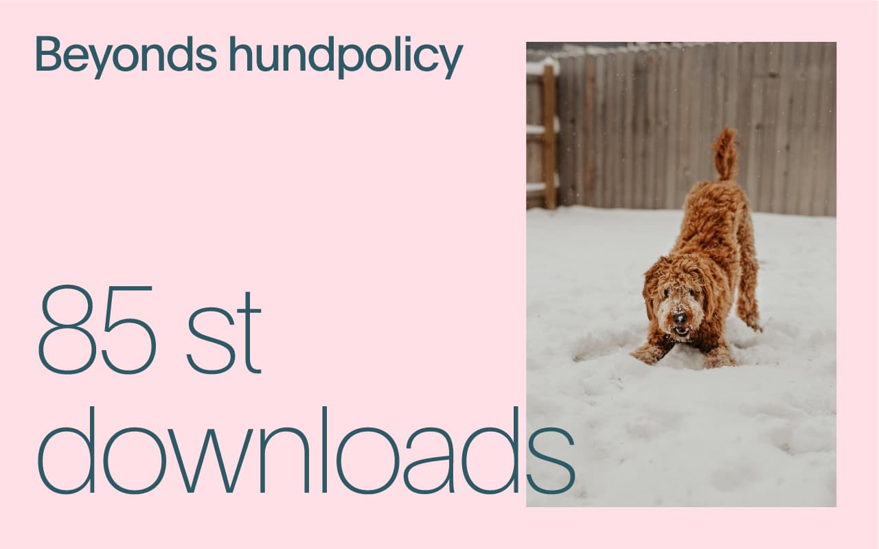 Bild på en hund tillsammans med texten “Beyonds hundpolicy” som visar att policyn laddats ner 85 gånger